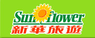 Sun Flower